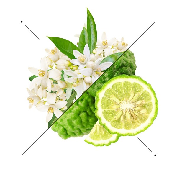 Women perfume set w185 + 10ml perfume