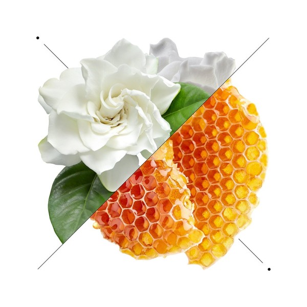 Women perfume set w187 + 10ml perfume