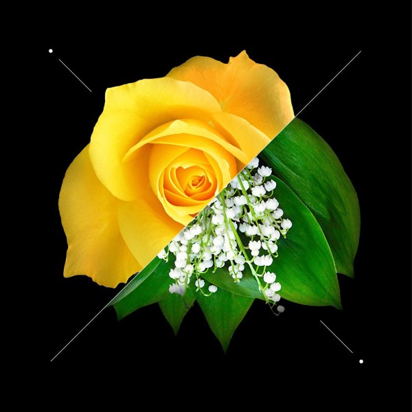 Woman perfume set w188